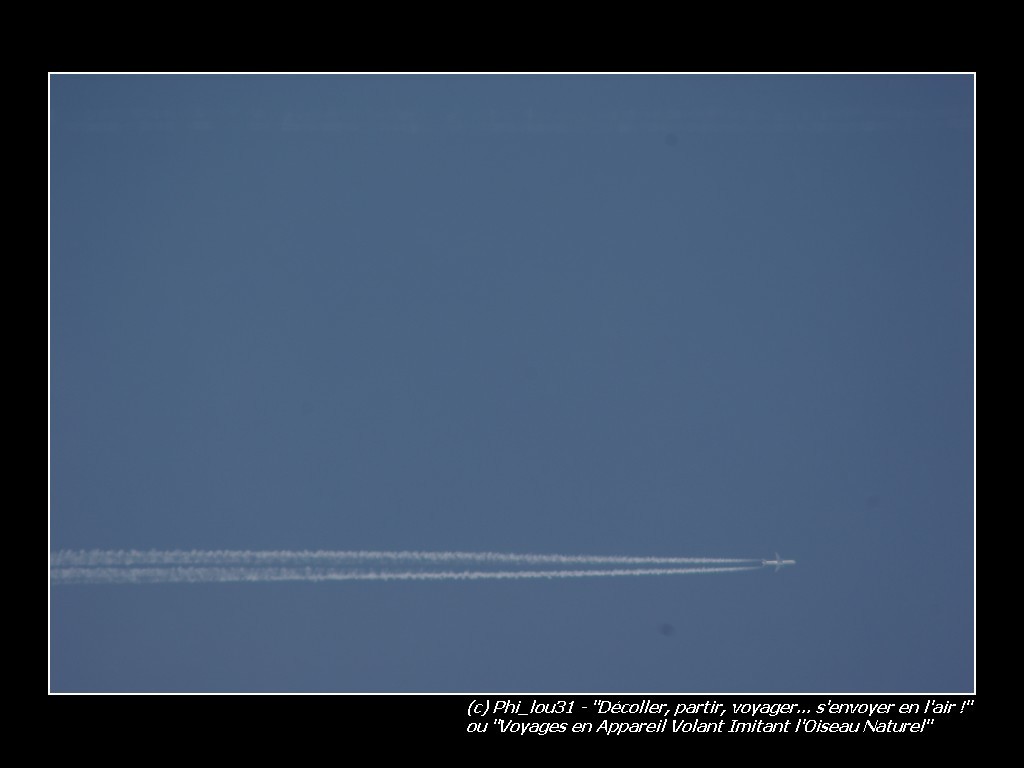 Appareil Volant Imitant l
